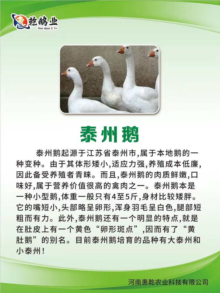 微信图片_20241213192648.jpg