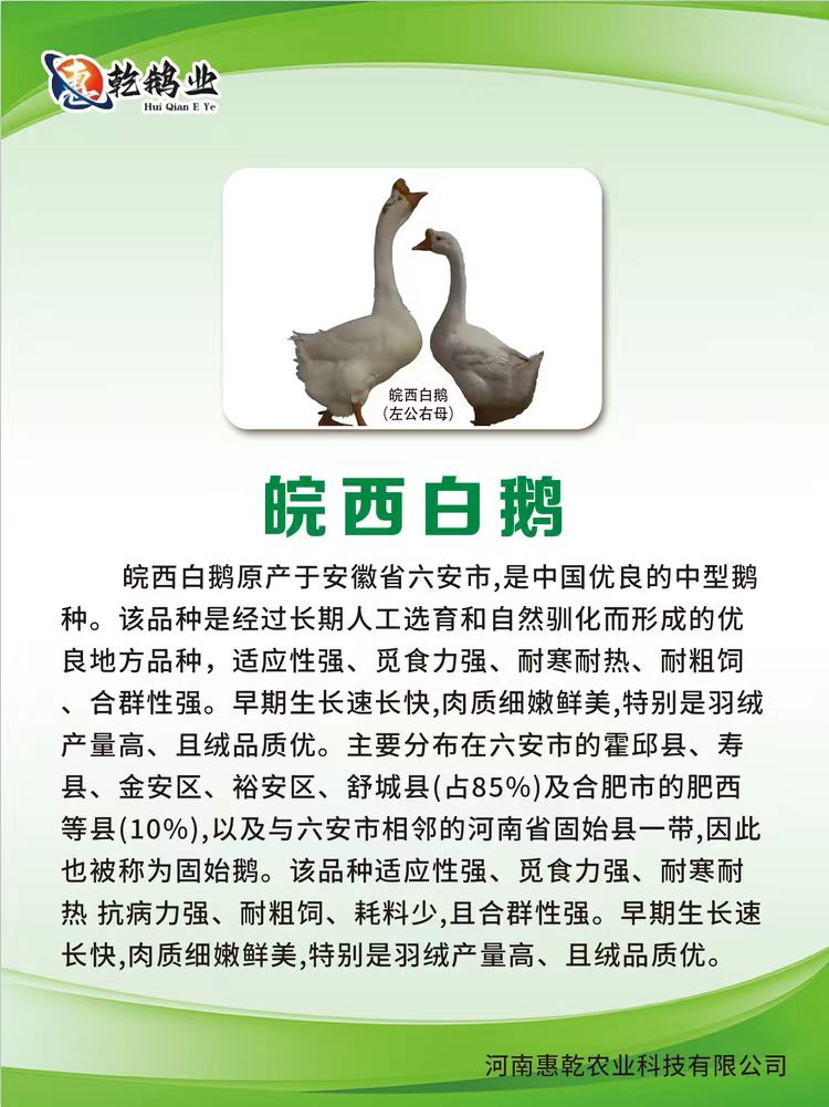 微信图片_20241213192654.jpg