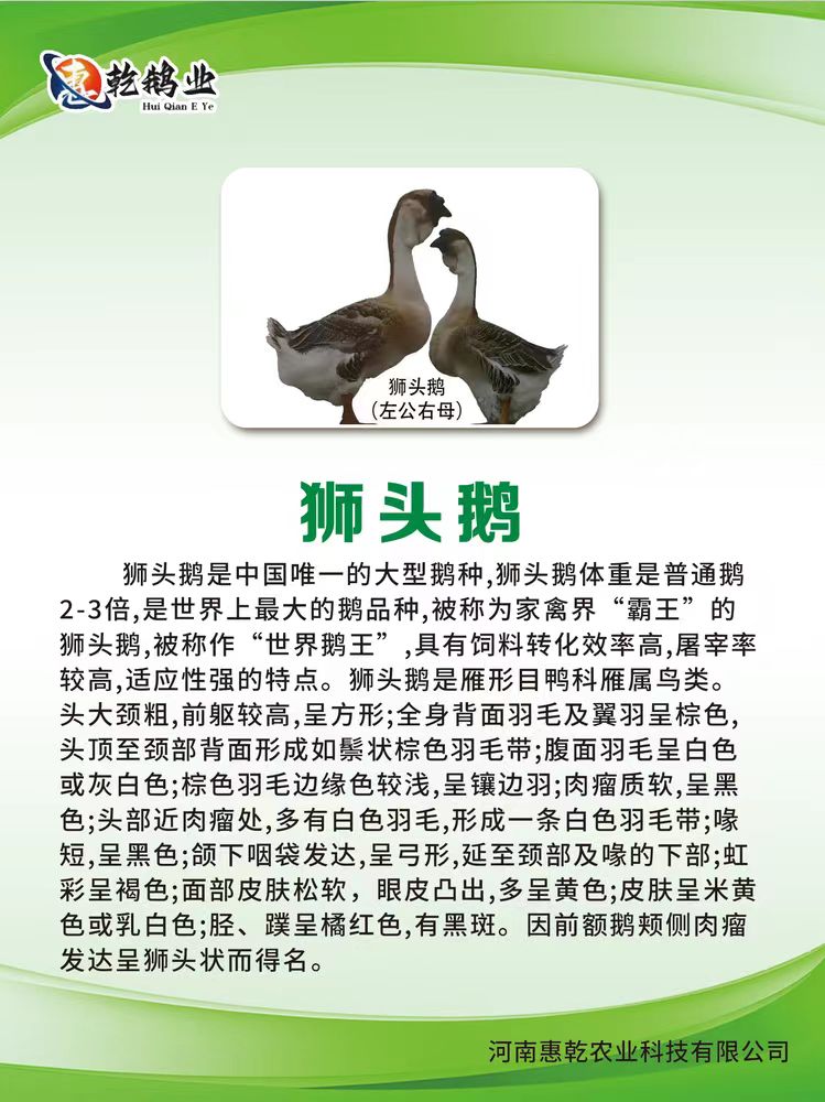 微信图片_20241213192700.jpg