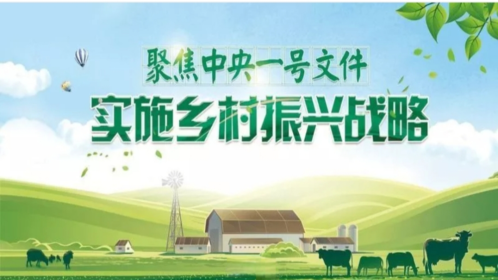 河南亿城鹅业云科技有限公司 RWA·数字农业融资项目介绍