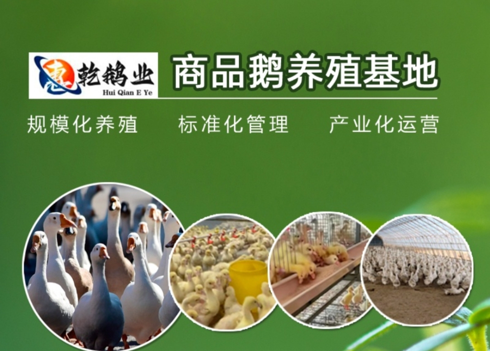 河南惠乾农业科技有限公司简介